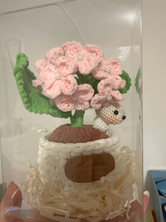 Home Decors